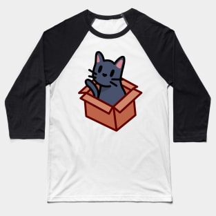 Stray Cat Baseball T-Shirt